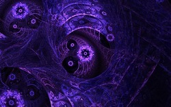 2014 04 26 Evening Plastic 45-black.jpg